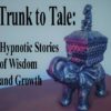 Hypnotic Storytelling Album
